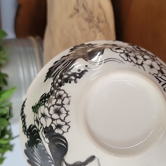 Florence Balducci for Anthropologie WILD MASQUERADE Tea Cup & Saucer - Picture 9 of 9